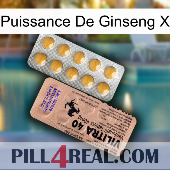 Ginseng Power X 41.jpg